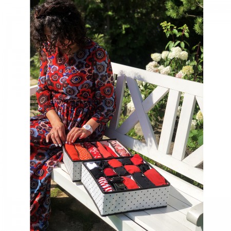 Купить Органайзер для нижнего белья и бюстгальтеров Eco White, 10 ячеек и 5 секций (30х30х11 см)