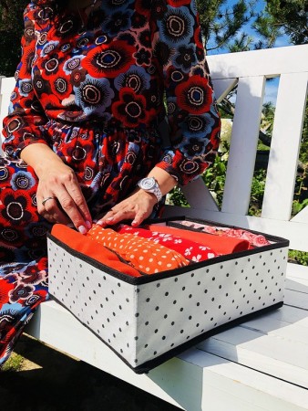 Купить Органайзер для бюстгальтеров Eco White, 6 секций (31х24х11 см)