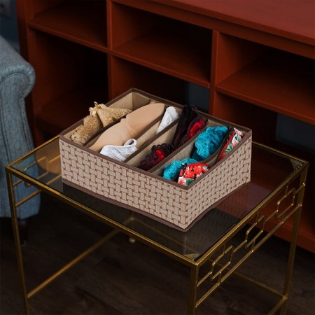 Купить Органайзер для бюстгальтеров на 6 секций