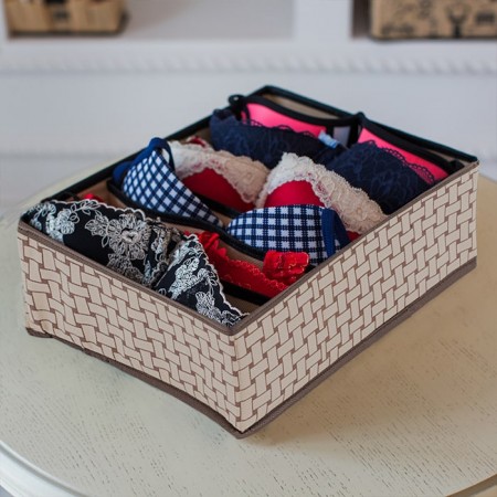 Купить Органайзер для бюстгальтеров на 6 секций